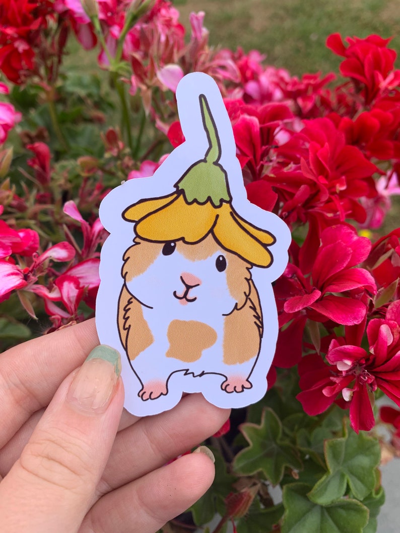 K&ouml;nnte beinhalten: Ein wei&szlig;er Aufkleber mit einer Cartoon-Illustration eines braunen und wei&szlig;en Meerschweinchens, das eine gelbe Blume auf dem Kopf tr&auml;gt. Das Meerschweinchen steht auf seinen Hinterbeinen, die Vorderpfoten in der Luft.