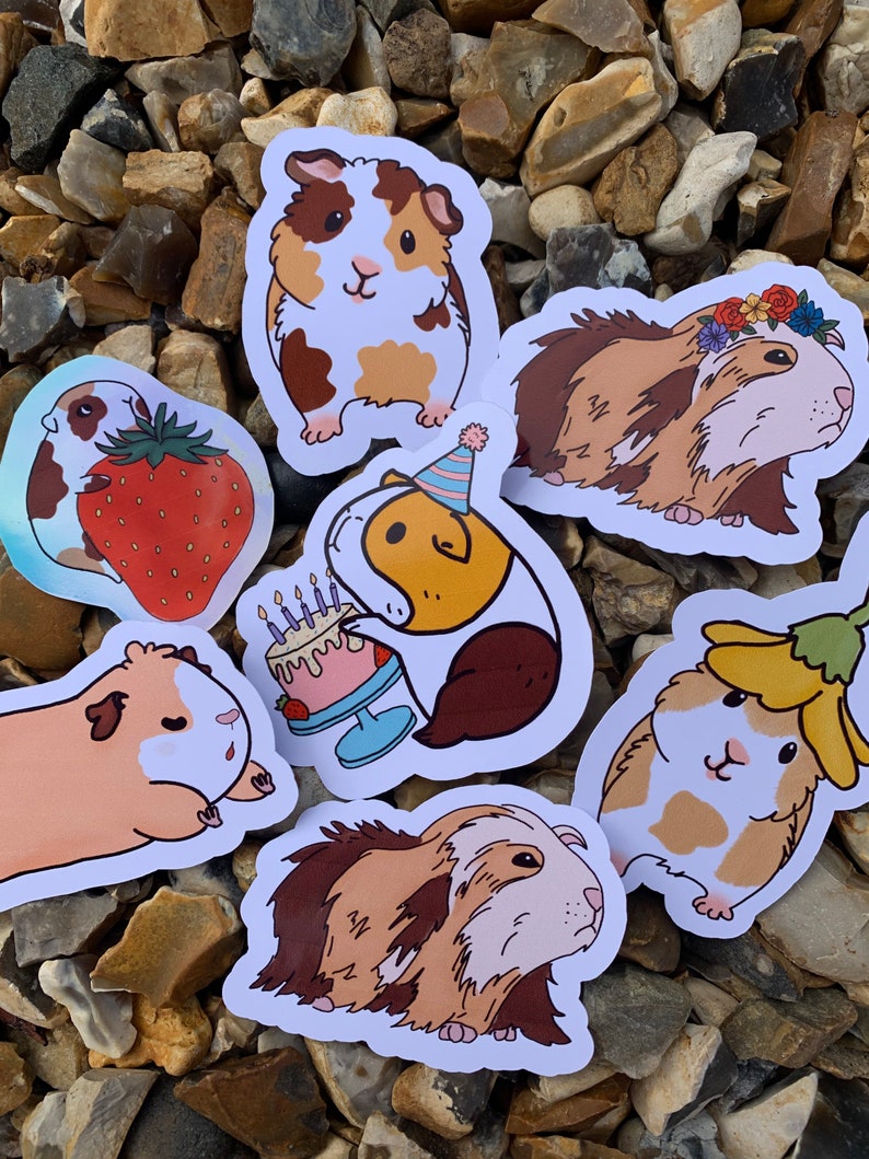 K&ouml;nnte beinhalten: Ein Set mit sechs bunten Aufklebern mit Cartoon-Meerschweinchen in verschiedenen Posen. Die Aufkleber zeigen ein Meerschweinchen mit einer Partym&uuml;tze, ein Meerschweinchen, das einen Geburtstagskuchen h&auml;lt, ein Meerschweinchen mit einer Erdbeere und ein Meerschweinchen mit einer Blume auf dem Kopf.