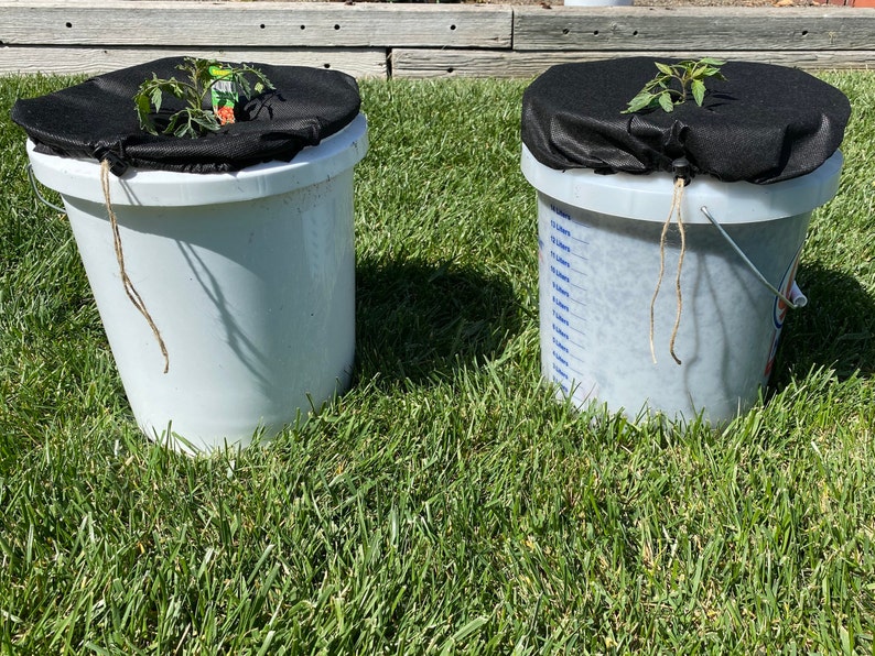 Mulch Cover for Bucket Plants Etsy