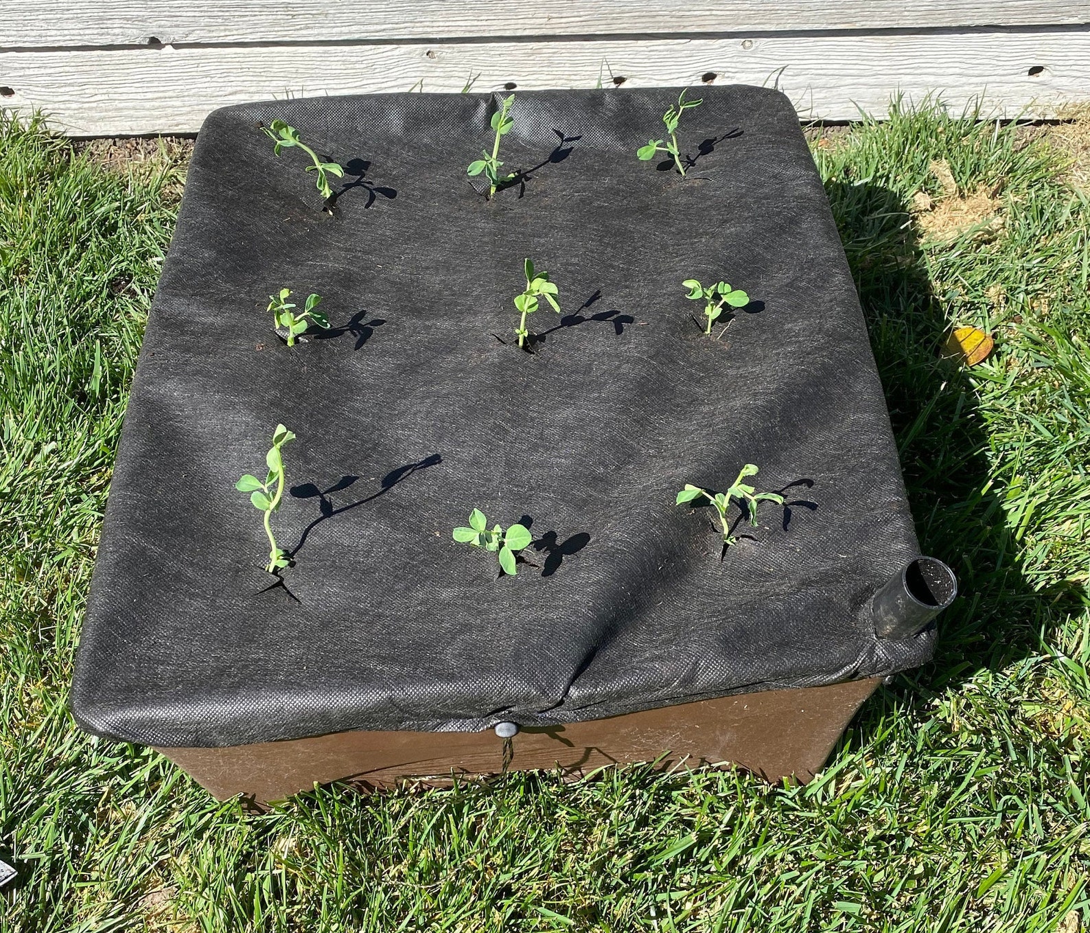Mulch Cover Replacement, Fits 20 X 24 Inch Raised Garden Grow Box Etsy