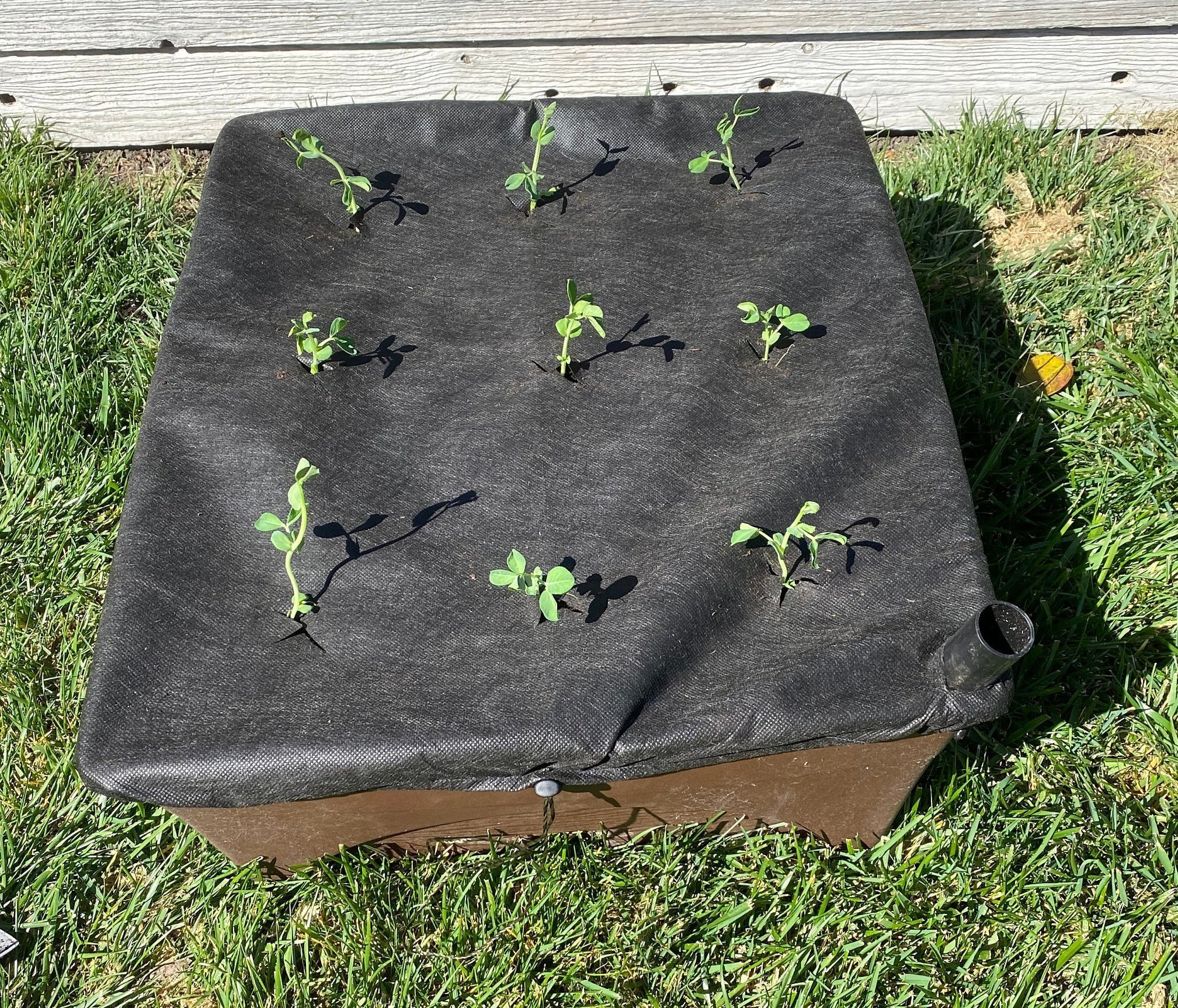 Mulch Cover Replacement, Fits 20 X 24 Inch Raised Garden Grow Box Etsy