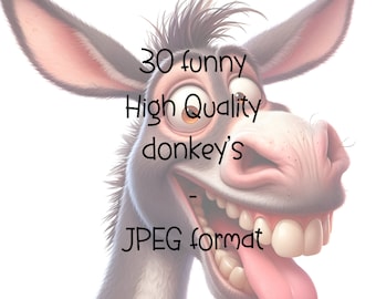 Funny donkey Clipart Bundle | Set of 30 high quality illustrations | Commercial License | Digital paper crafts