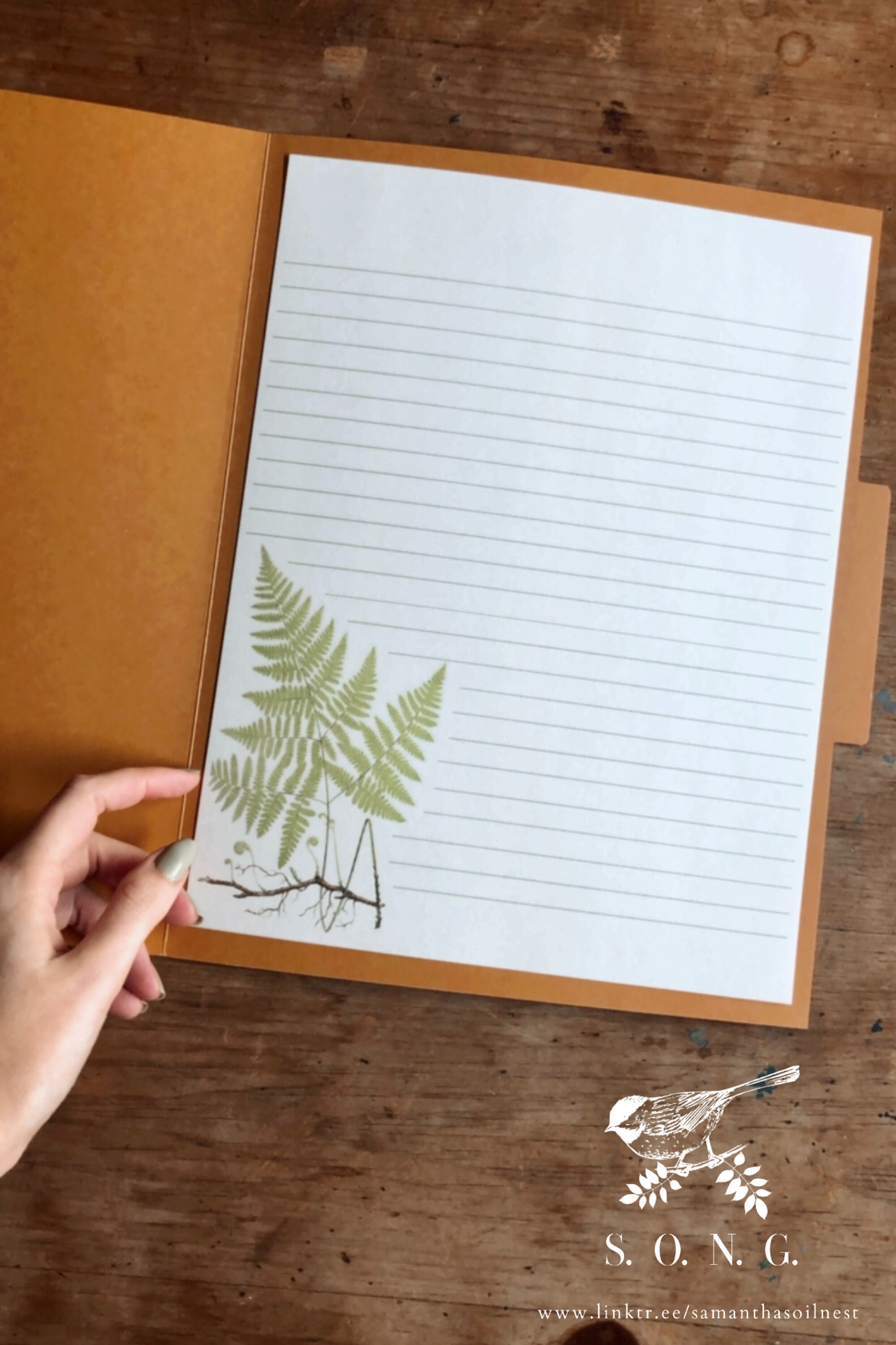 Stationery paper picture