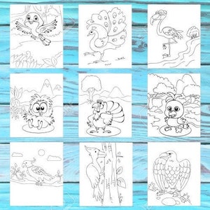 Birds Coloring Book for Kids, Printable Coloring Book for Children, Digital Download pdf. Two packs each at least 20 pages.