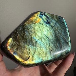 May include: A polished labradorite stone featuring a smooth, irregular shape with a vibrant labradorescence displaying iridescent flashes of gold, teal, and blue across its surface, characterized by a network of fine, dark internal fractures.