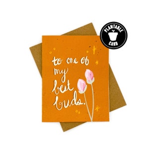 Biglietto di carta per semi di fiori selvatici, biglietto di amicizia, biglietto di compleanno per amico, a uno dei miei migliori germogli, biglietto planabile, biglietto di auguri ecologico