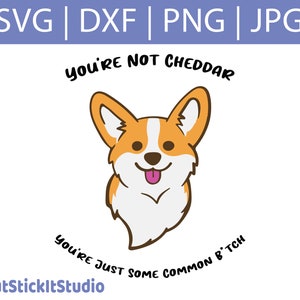 Brooklyn 99 Cheddar SVG - Just Some Common B *tch - You’re Not Cheddar