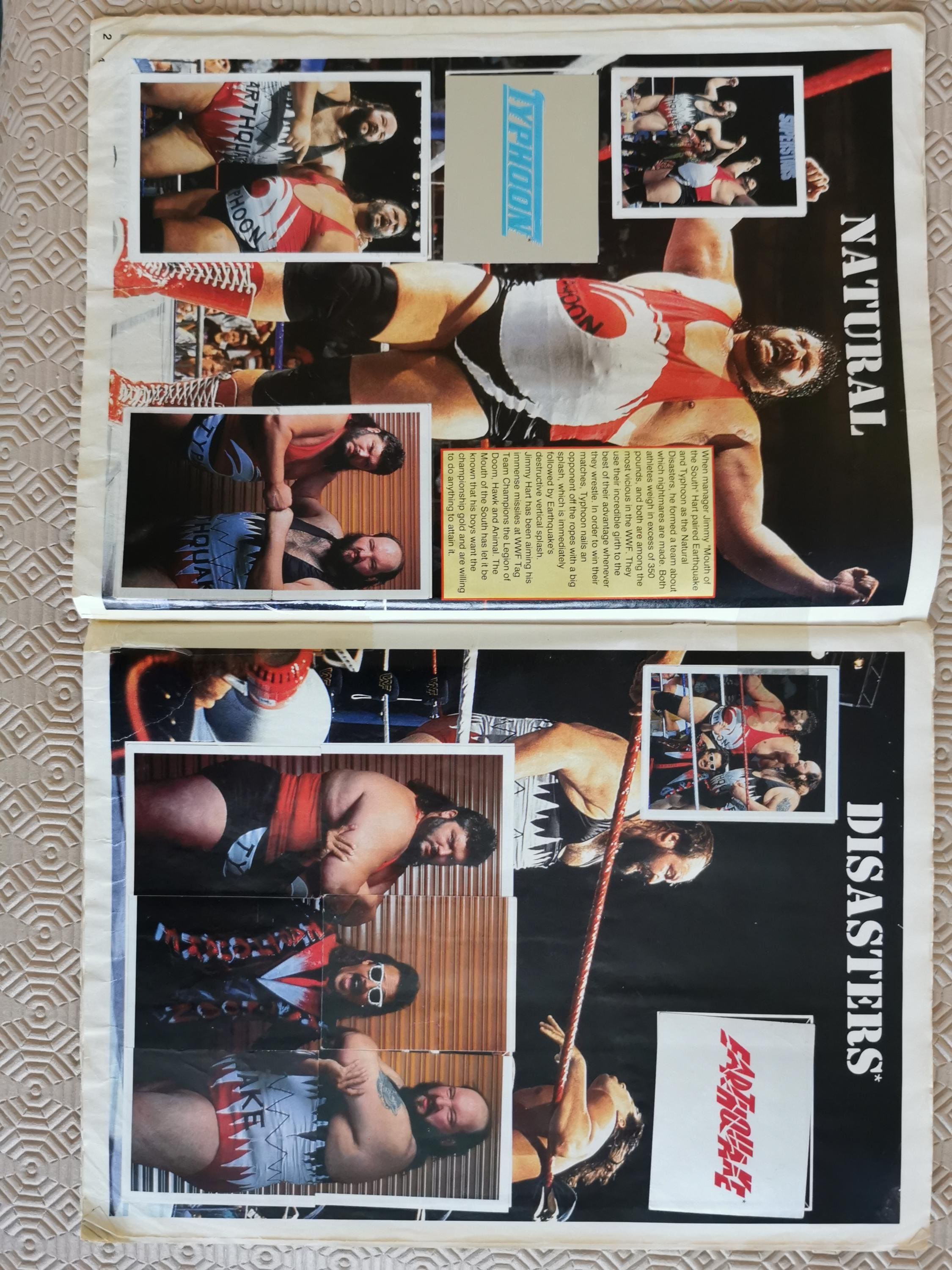 Vintage 1991 WWF Superstars of Wrestling Sticker Album • Merlin