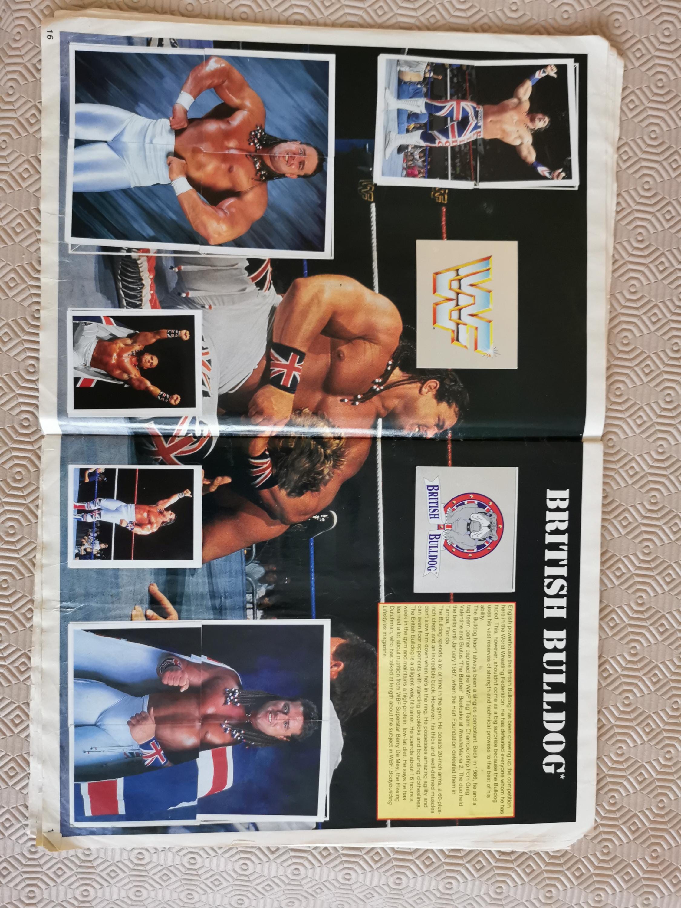 Vintage 1991 WWF Superstars of Wrestling Sticker Album • Merlin