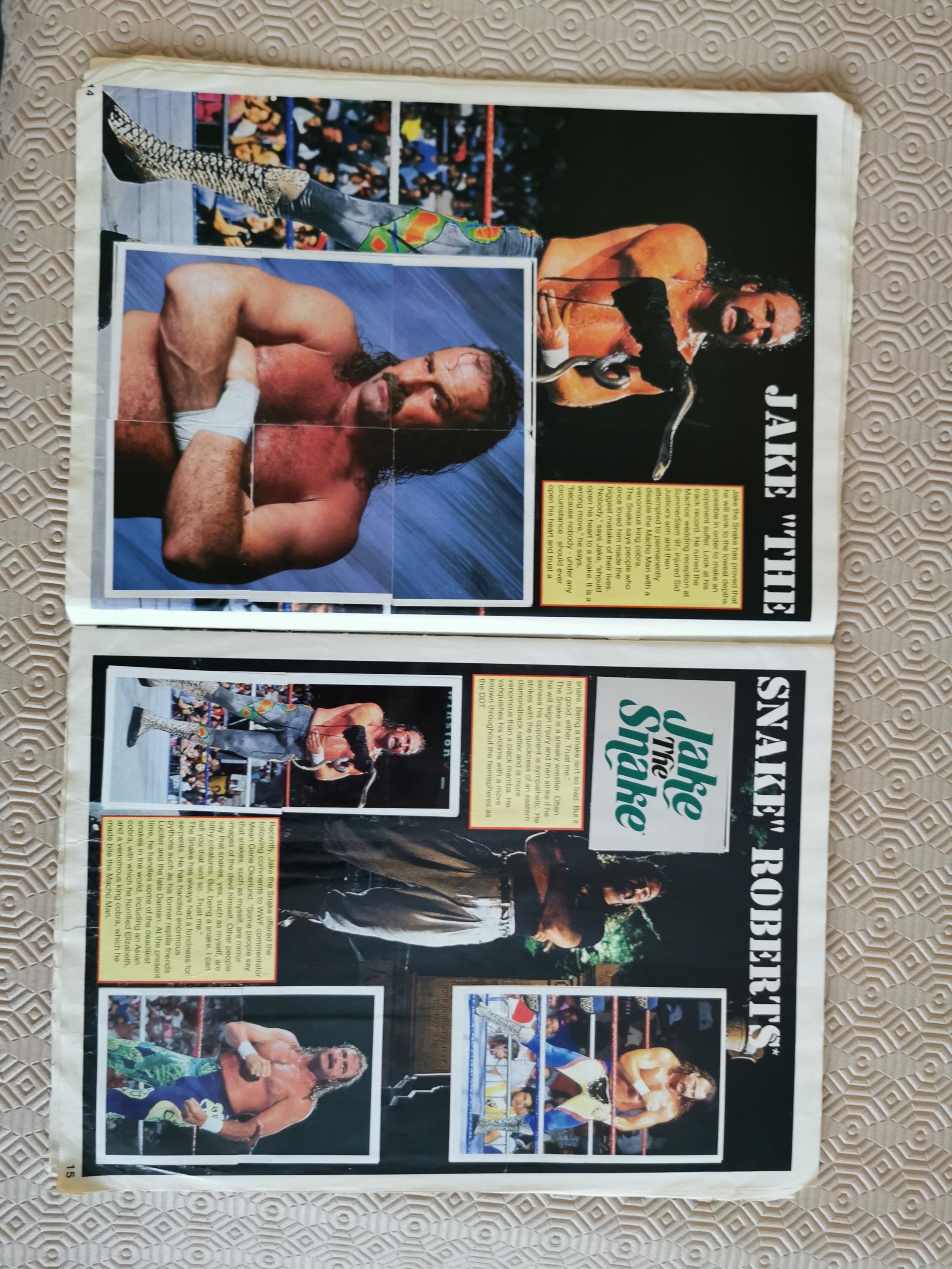 Vintage 1991 WWF Superstars of Wrestling Sticker Album • Merlin