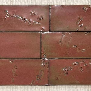 Handmade Botanical Tiles: Glossy Copper Red Kitchen Backsplash