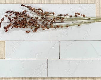 Satin White Botanical Tile: Handmade 2x6 Kitchen/Bathroom Tile