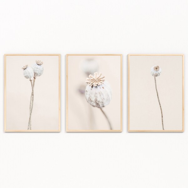 Dried Poppy Heads Set of 3, INSTANT DOWNLOAD, Farmhouse Floral Printable, Neutral Floral Wall Art, Dried Flowers Print, Poppy Print Set