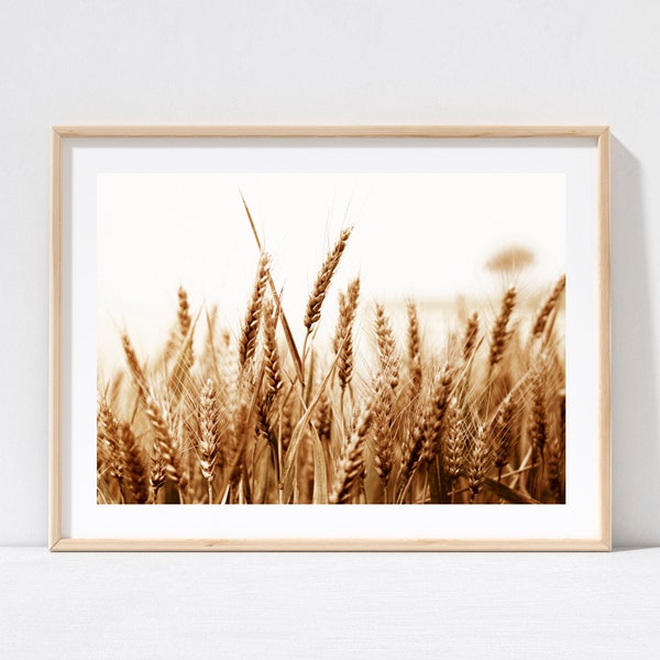 Wheat Field Wall Art, INSTANT DOWNLOAD, Nature Print, Farmhouse Print, Country Home Decor, Farm Wall Art, Wheat Photography Print