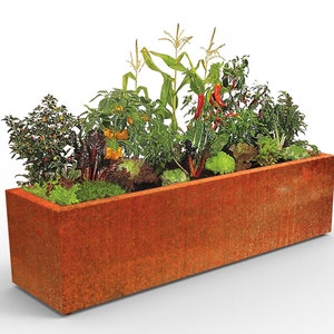 May include: A rusty metal planter box filled with a variety of plants, including corn, peppers, and leafy greens.