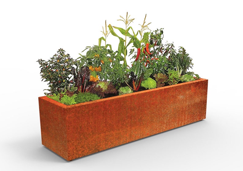 May include: A rusty metal planter box filled with a variety of plants, including corn, peppers, and leafy greens.
