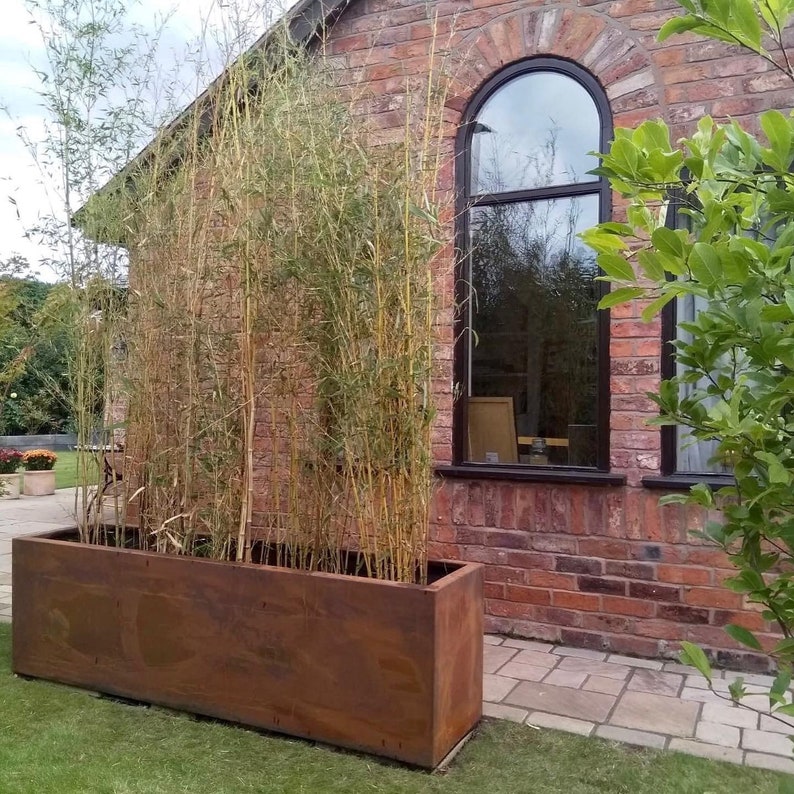 May include: A rusty brown metal planter box with a row of bamboo plants growing inside. The planter is sitting on a patio next to a brick wall with a large arched window.