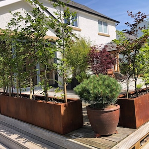May include: A set of four rectangular, rusted metal planters with various plants growing inside. The planters are placed on a wooden deck in front of a white house with a green lawn.