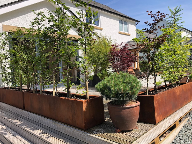 May include: A set of four rectangular, rusted metal planters with various plants growing inside. The planters are placed on a wooden deck in front of a white house with a green lawn.