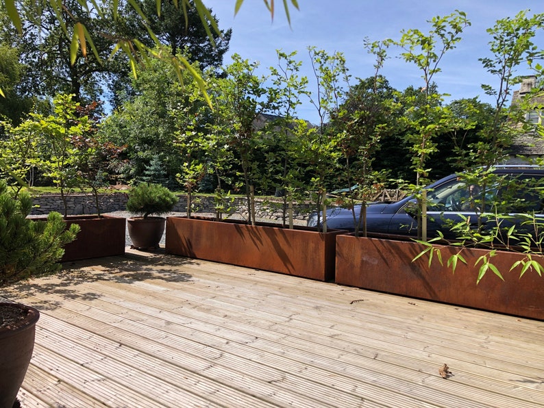 May include: Four rectangular rusty metal planters with green plants growing inside. The planters are on a wooden deck with a car parked in the background.