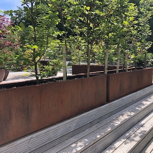 May include: Four large, rectangular, rusty metal planters are lined up on a set of white wooden steps. The planters are filled with green leafy plants.
