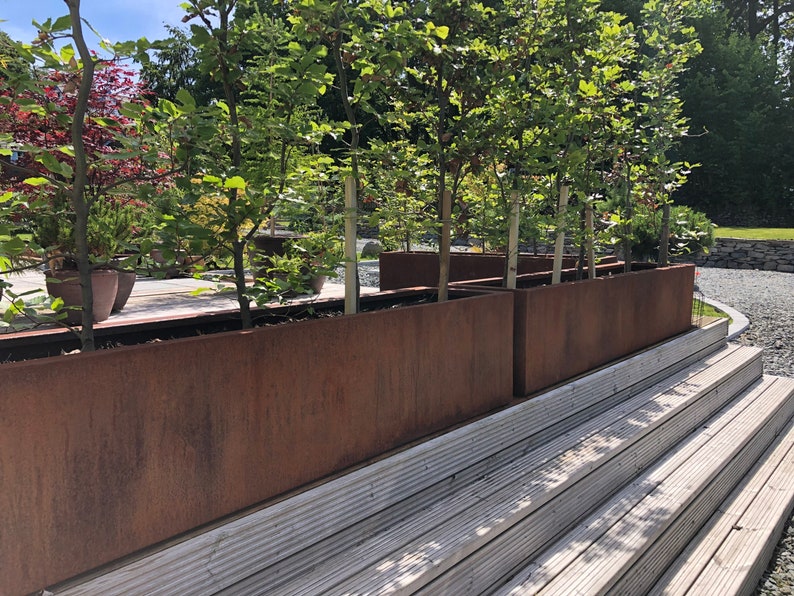 May include: Four large, rectangular, rusty metal planters are lined up on a set of white wooden steps. The planters are filled with green leafy plants.