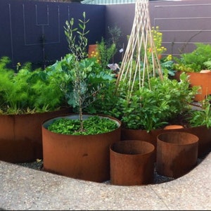 May include: A small garden with various plants growing in rusty metal planters. The planters are different sizes and shapes, and some are stacked on top of each other. The plants are green and lush, and there is a wooden trellis in the background.