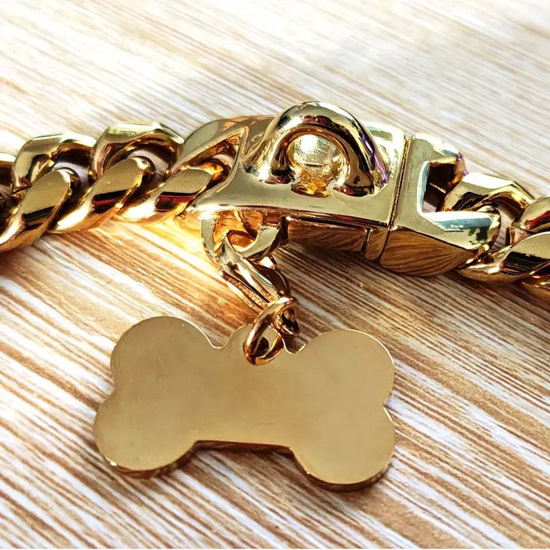 Gold Chain Dog Collar With Bone Tag Etsy