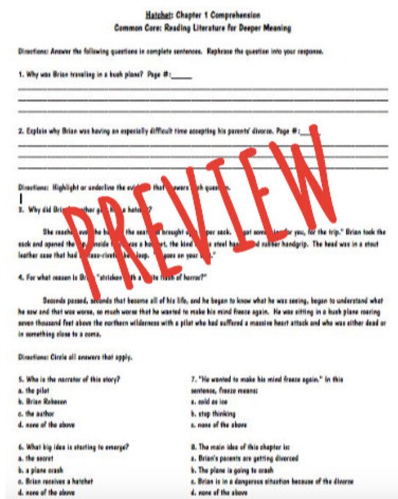 hatchet common core comprehension questions with vocabulary etsy