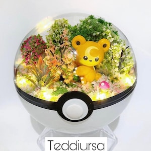 Terrarium Teddiursa fait main Diorama Pokemon Pokeball Boule de jardin proposition Terrainium anniversaire Invitation carte cadeau Anniversaire père