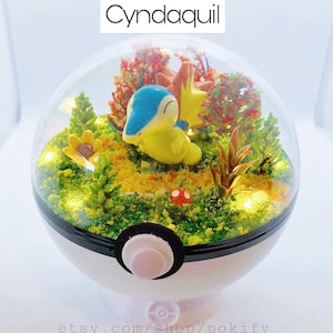 Cyndaquil Terrarium fait main Diorama Pokemon Pokeball Boule de jardin proposition Terrainium anniversaire Invitation carte cadeau Anniversaire père