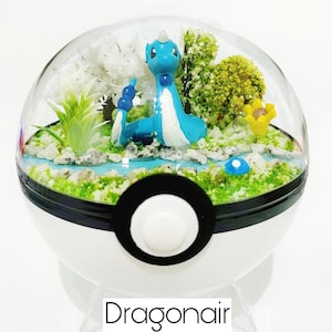 Handgemaakte Dragonair Terrarium Diorama Pokemon Pokeball-ballen Planter voorstel Terrainium Verjaardagskaart TCG Cadeau Verjaardag Vaderdag