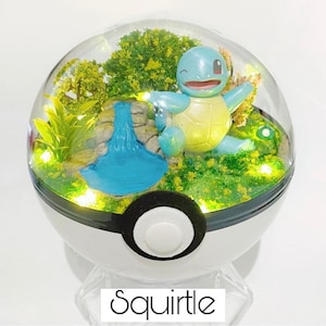 Handgemaakte Squirtle terrarium diorama Pokemon Pokeball kerstballen planter voorstel terrasverjaardag uitnodigingskaart cadeau verjaardag vader