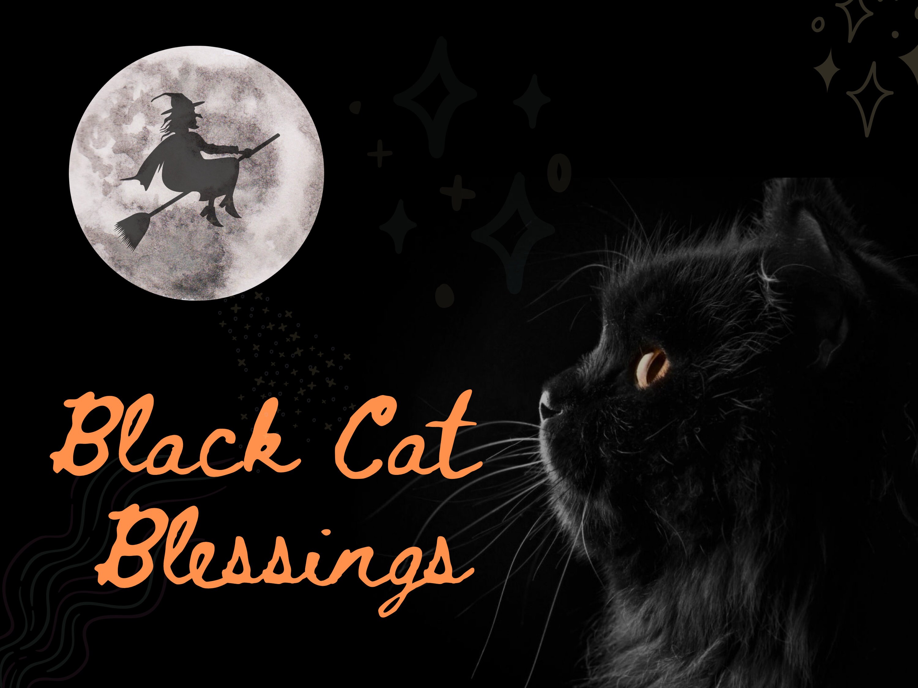 Black Cat Spell - Etsy