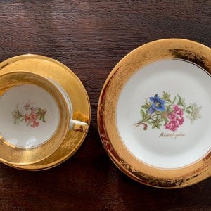 Vintage Hertel Jacob Bavarian Porcelain Tea Trio Gold Floral Tea Set - Etsy