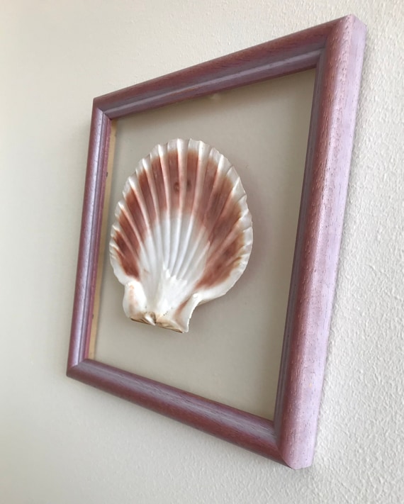 Driftwood and Seashell Wall Hanging, Boho Decor, Sea Shell Art, Beach House  Decor, Wall Art, Sea Shells, Shell Art 