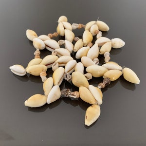 Retro Dish Placemat Shell Coaster Natural Cowrie Shell Drinks Mat  Shell Tableware Boho Shell Table Decor Tablescape Drinks Coasters