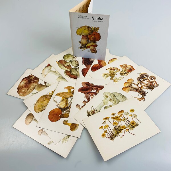 Vintage postcards Forest mushrooms set of 16 cards Soviet era botanical cards Printed in USSR 1990s
