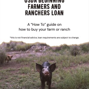 Peut inclure: Un document intitulé USDA BEGINNING FARMERS AND RANCHERS LOAN, A How To guide on how to buy your farm or ranch, avec une clause de non-responsabilité financière. Sous le texte se trouve une photographie d'un porcelet noir et blanc dans un champ.