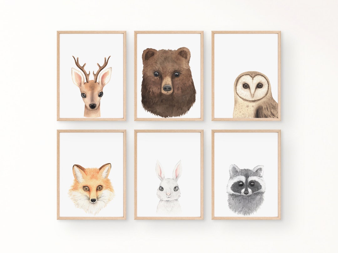 Best HD Pictures about  Animal Heads For Nursery  with No AI Images