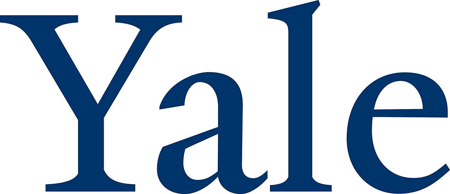 Yale University Name Vinyl Die Cut Decal Etsy