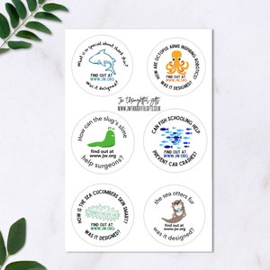 Aquatic ministry stickers - round labels, JW.org was it designed series? 24, 48 or 72 stickers
