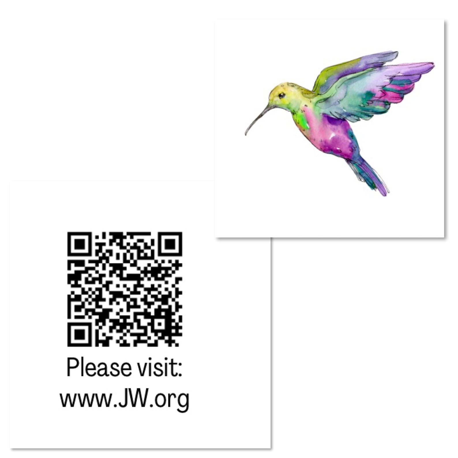 Hummingbird Letter Writing Paper – JW Ministry, Lined/unlined (QR Code ...