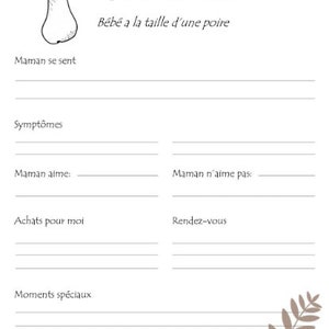 PDF Album maman solo grossesse & bébé image 3