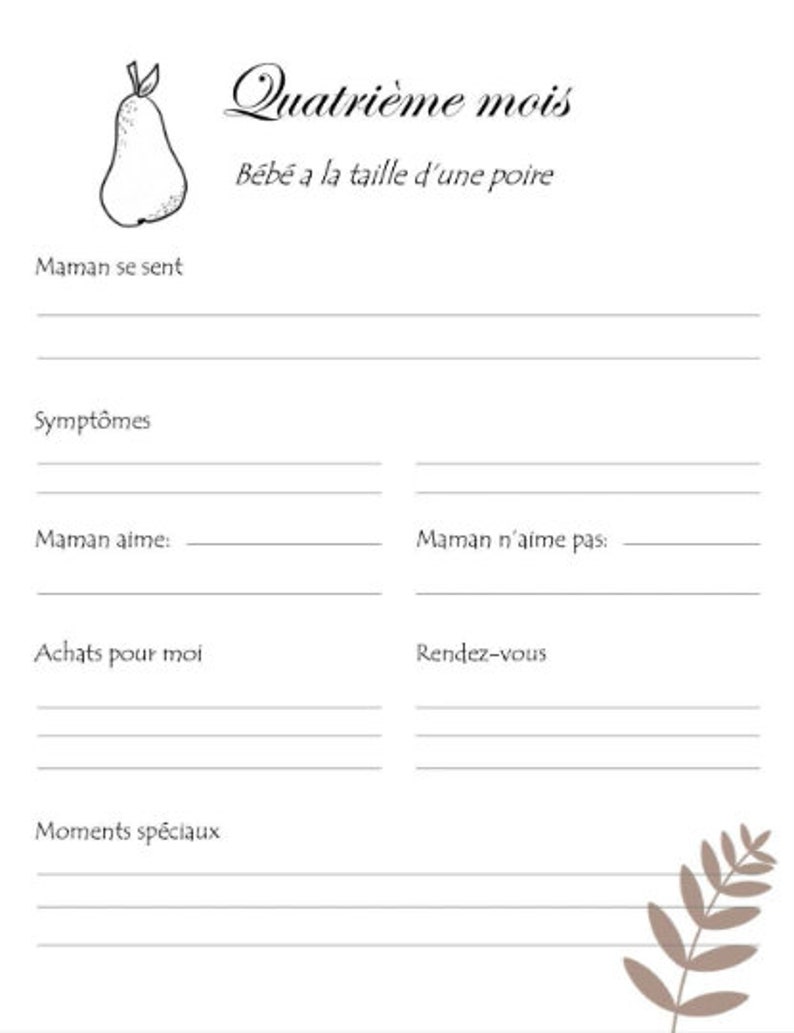 PDF Album maman solo grossesse & bébé image 3