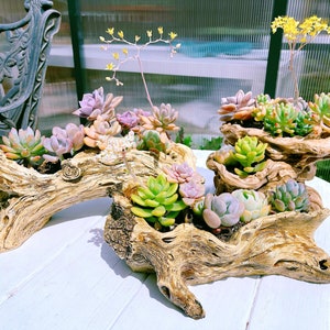 Faux Driftwood Planter Sculpture Multilayer Log Planter Artificial Tree Root Style Flower Pot Holder Stump Planter