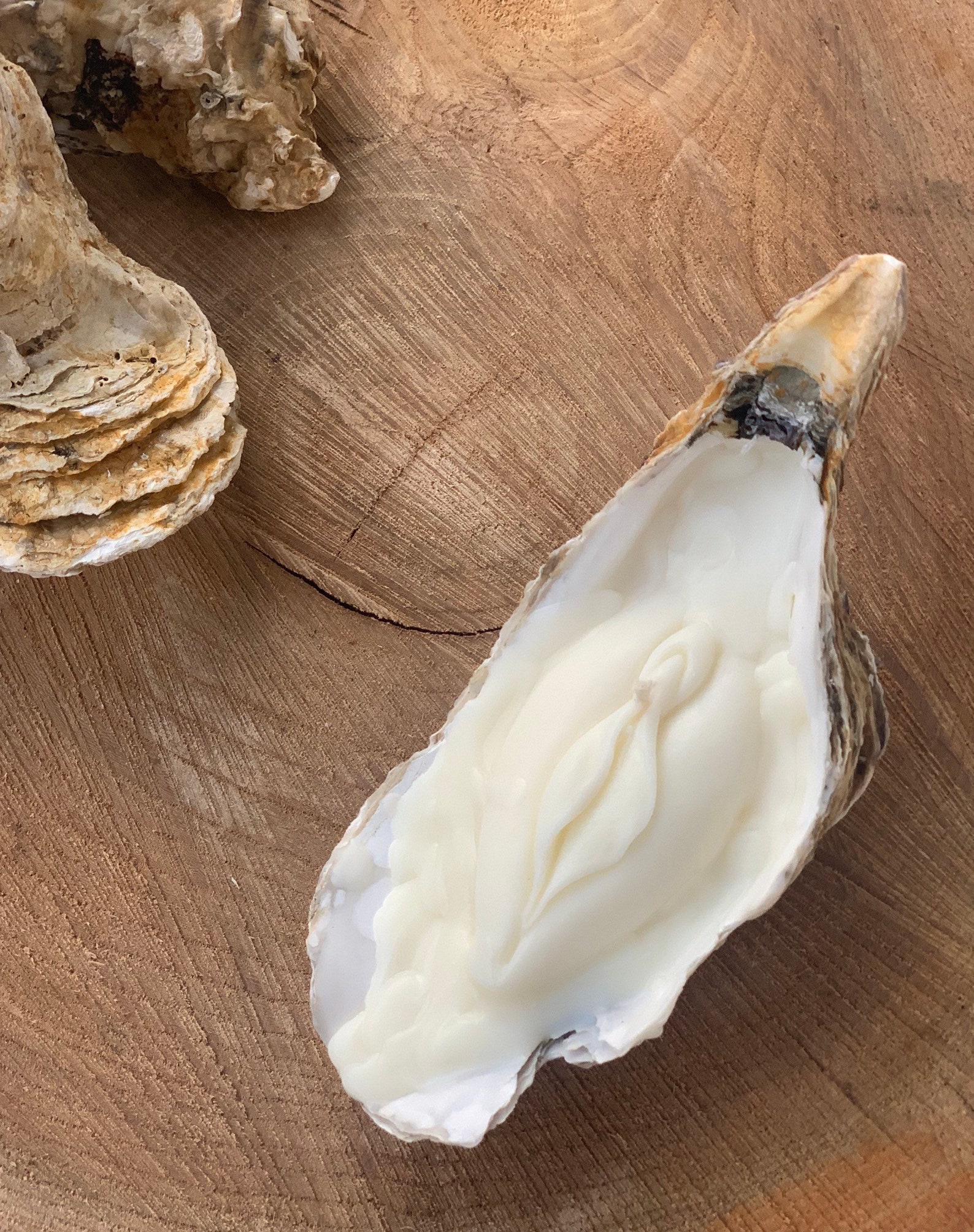 Vulva in a Shell Candle | Vulva | Gift | Pussy Candle | Yoni - Etsy