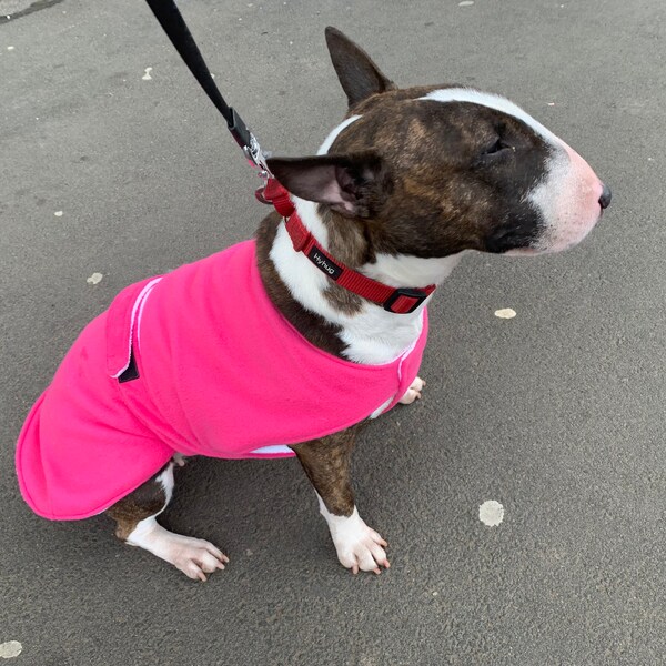 Custom Dog Jacket Etsy Australia