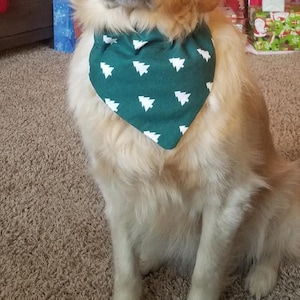 May include: A Golden Retriever dog wearing a green bandana with white Christmas tree patterns. The dog is sitting on a brown carpet in front of a decorated Christmas tree and wrapped gifts.
