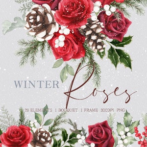 aquarela inverno natal clipart, pinhas inverno rosa florais, original pintado à mão